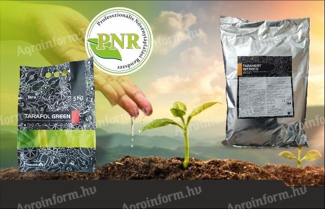 Tehnologija spomladanskega foliarnega gnojenja solate z NPK + K + Mg + Mg + R + aminokislina