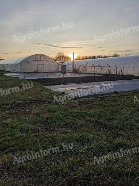 Horticultură cu teren construibil