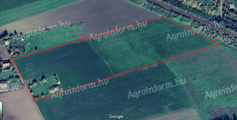 Na predaj 5 ha poľnohospodárskej pôdy s hospodárskymi budovami v obci Szolnok, okres Alcsi