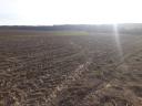 9 hectares of good quality arable land for sale