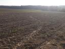 9 hectares of good quality arable land for sale