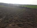 9 hectares of good quality arable land for sale