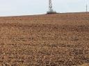 9 hectares of good quality arable land for sale