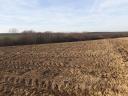 9 hectares of good quality arable land for sale