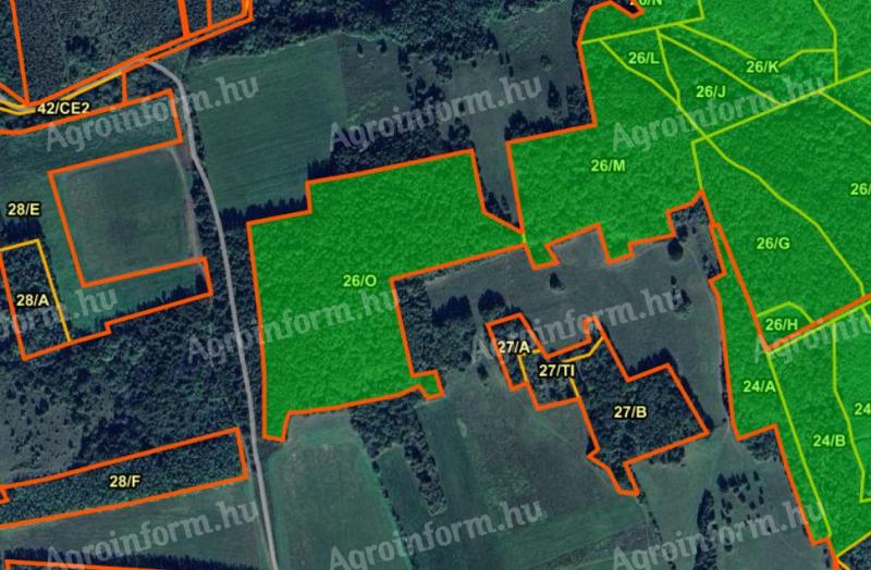 4,1 ha Wald zum Verkauf in Taliándörögd