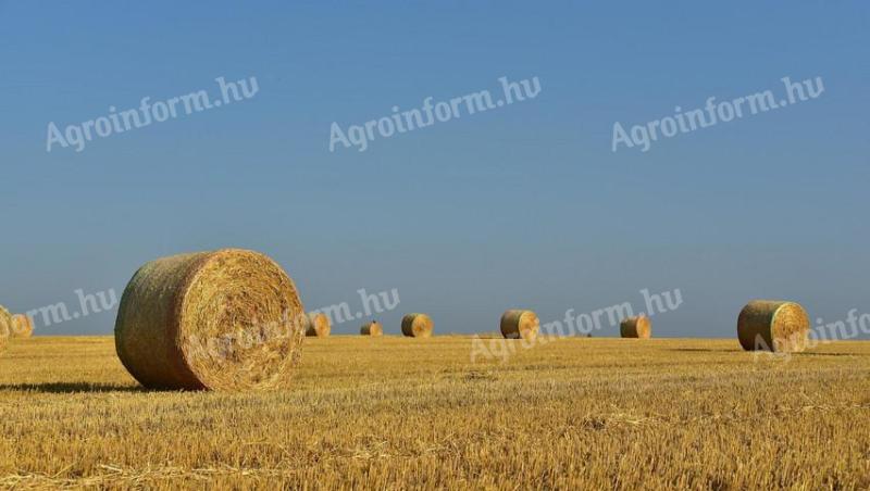 На продају пашњак на периферији Оросхазе