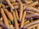 Carrots at discount prices