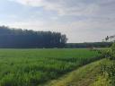 Grundstück/Ackerland zu verkaufen