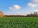 Grundstück/Ackerland zu verkaufen