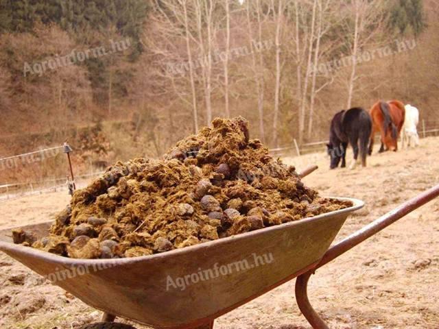 Horse manure, high quality