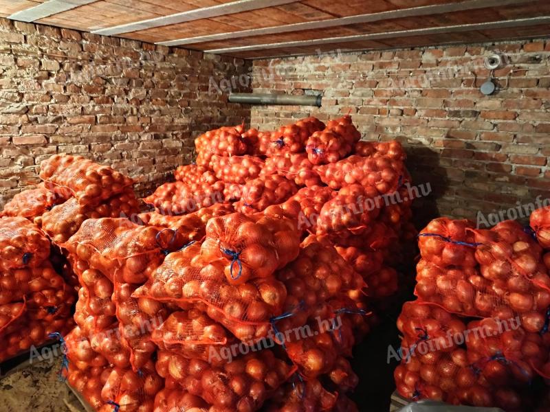 Rote Zwiebeln von Bronson zu verkaufen