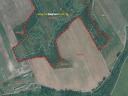 Orchard and arable land for sale