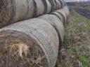 Alfalfa and hay bales for sale