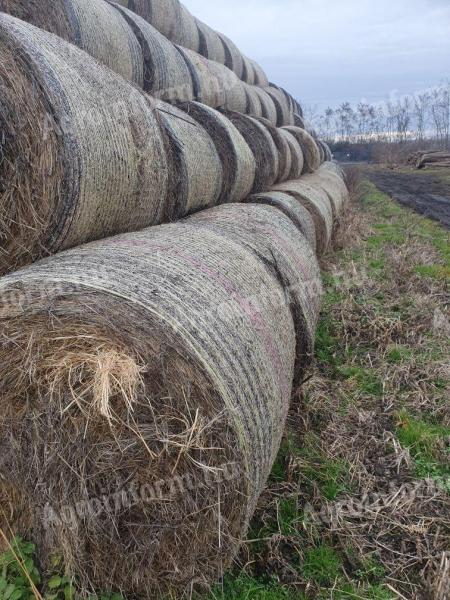 Alfalfa and hay bales for sale