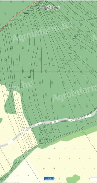 Trauben und Früchte zum Verkauf in Balajton