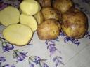 Edible potatoes