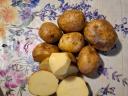 Edible potatoes