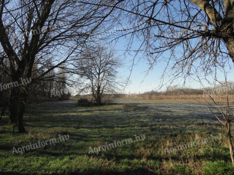 Kecelen-Bauernhof mit 4 ha Ackerland zu verkaufen