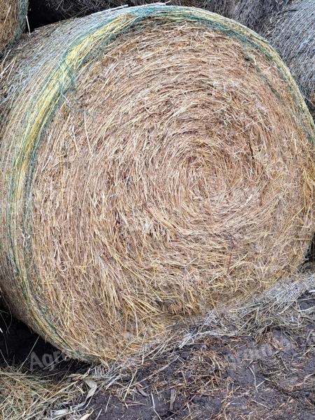 Hay bale for sale