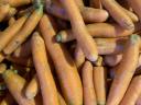 Carrots available at special prices