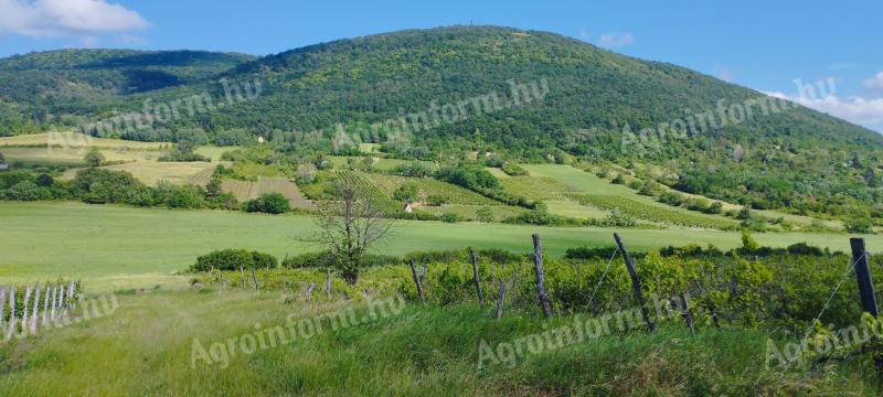 10 ha gruntów ornych na sprzedaż w Egerze