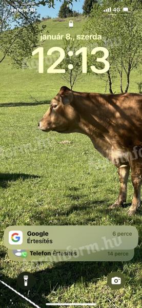 Carne de vită