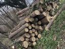 Acacia firewood for sale