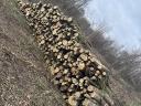 Acacia firewood for sale