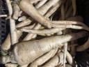 Parsley root at a discount price