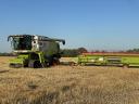 Claas Lexion 750TT + V900 / Helmut Claas Edition (2012)