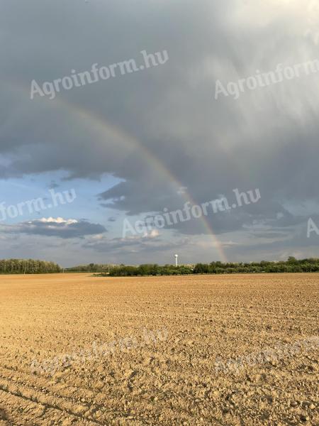 Chcel by som prenajať ornú pôdu v Papone a jeho spádovej oblasti