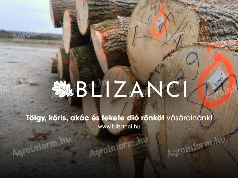 Podjetje BLIZANCI Ltd. želi kupiti hlode hrasta, jesena, akacije in črnega oreha