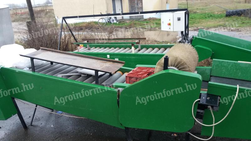 Pepper sorting machine