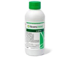Score 250 EC
