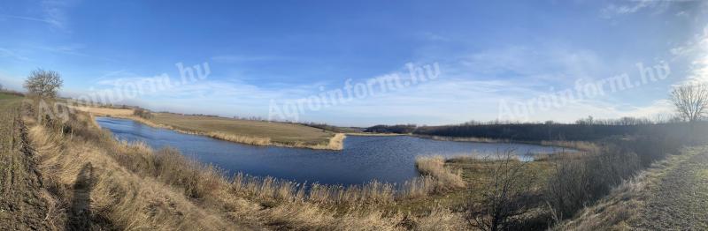 Fish pond for sale 20 km from Lake Balaton