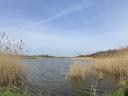 Fish pond for sale 20 km from Lake Balaton