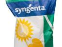 Syngenta Sureli napraforgó vetőmag