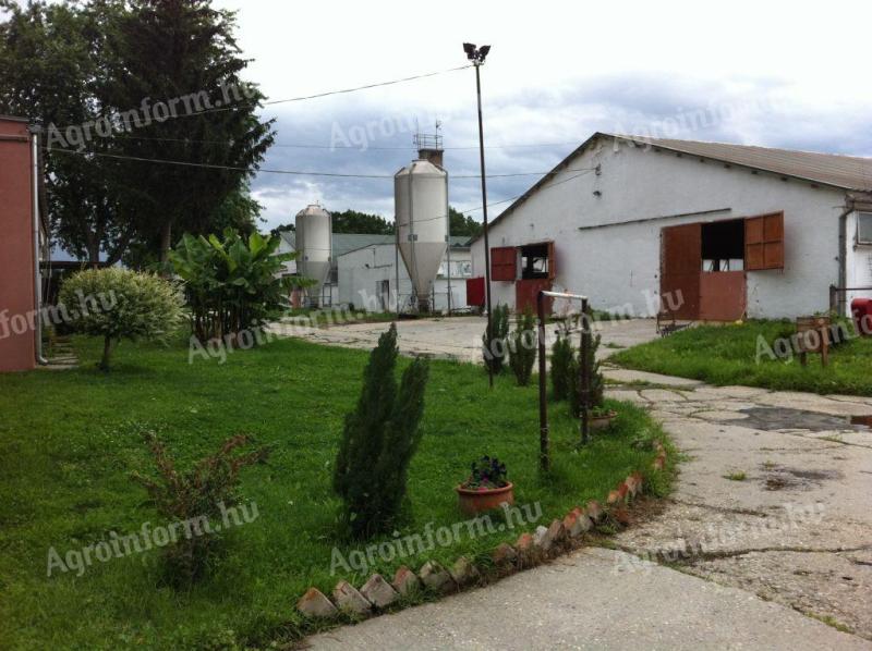 Poultry farm for sale in South Transdanubia