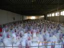 Poultry farm for sale in South Transdanubia