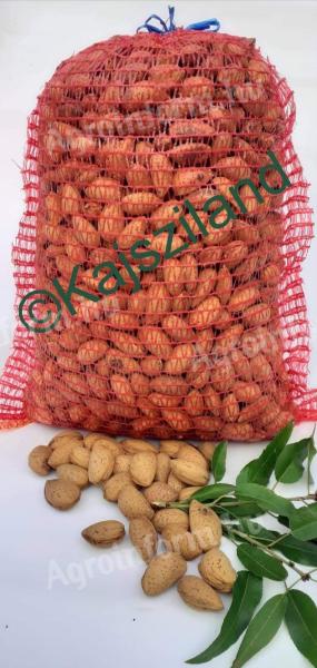 Almonds in shell from the producer in 4 kg bags