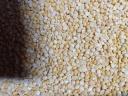 Organic shelled yellow peas for sale from producer