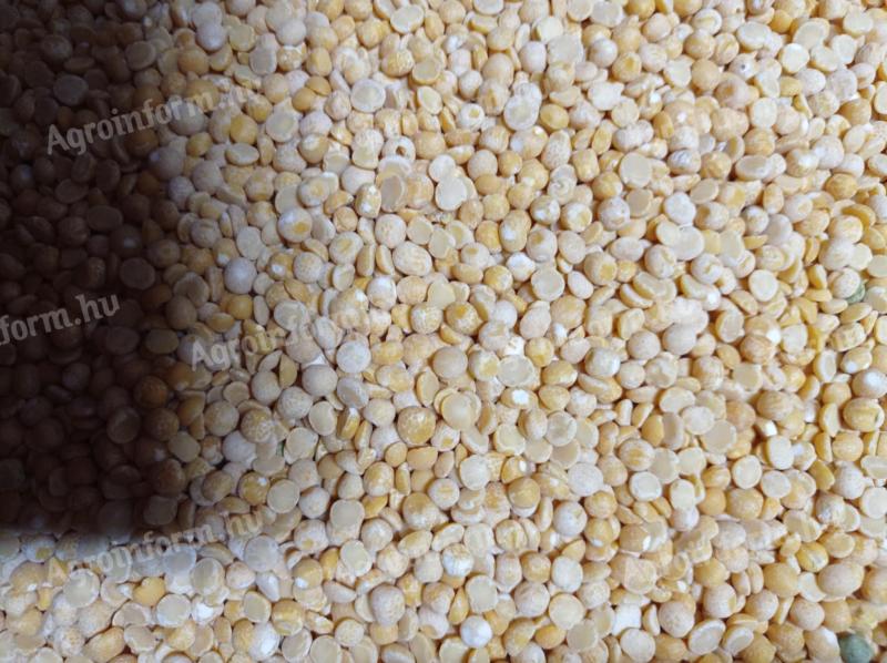 Organic shelled yellow peas for sale from producer