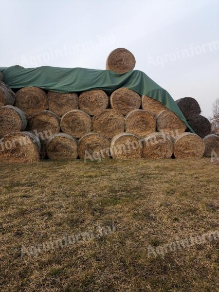 Straw bale for sale