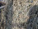 Lucerna bales for sale