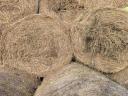 Lucerna bales for sale