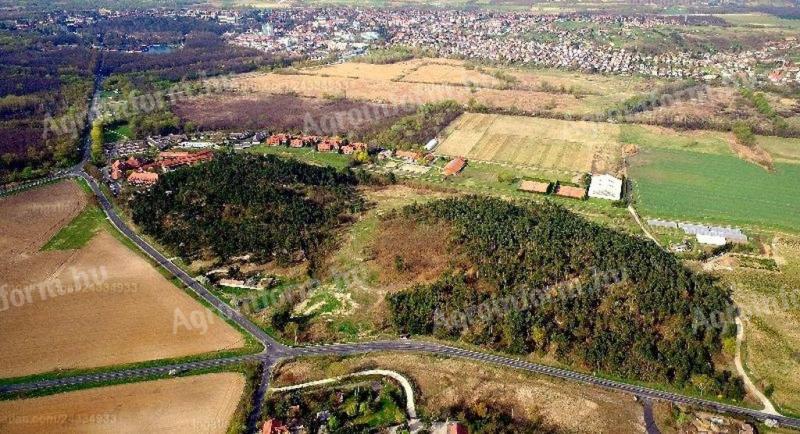 15,2 Hektar großes Entwicklungsgebiet am Stadtrand von Hévíz zu verkaufen