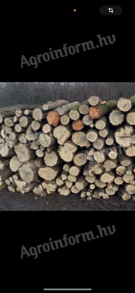 Acacia firewood for sale