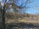 Lakitelken 5 ha wooded area, orchard/pasture for sale