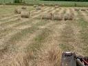 Mini hay bale