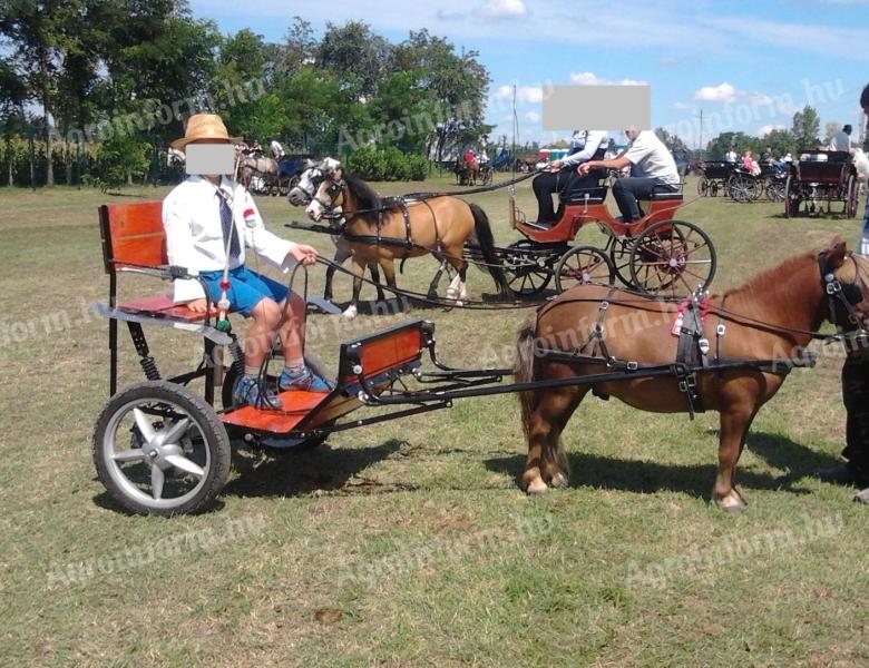 Huśtawka Pony z pełnym wyposażeniem